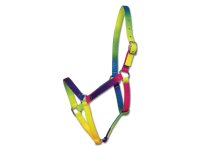 Waldhausen Halfter Regenbogen, VB und WB neon multicolor