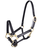 Waldhausen STAR Leder Fohlenhalfter schwarz