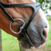 Trust Gebiss Sweet Iron Olivenkopf doppelt gebrochen