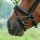 Trust Gebiss Sweet Iron Wassertrense doppelt gebrochen