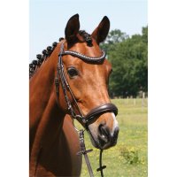 Hans Melzer Trense Calgary hannoversches Reithalfter braun/silber
