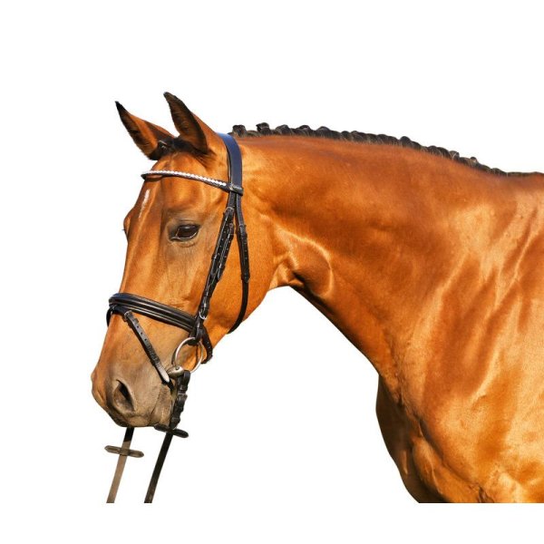 Euroriding Trense Englisches Reithalfter Diamonds Euro-Club Royan