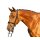 Euroriding Trense Englisches Reithalfter Diamonds Euro-Club Royan
