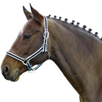 Euroriding Halfter Comfort Nylon, Unterlegt
