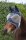 LeMieux Fliegenmaske Armour Shield Fly Mask- Half Mask Navy/Grey
