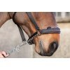 LeMieux Halfter Headcollar ProSafe controller Black
