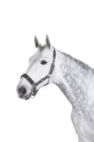 Eskadron Halfter Pin Buckle Anthra-White-Black