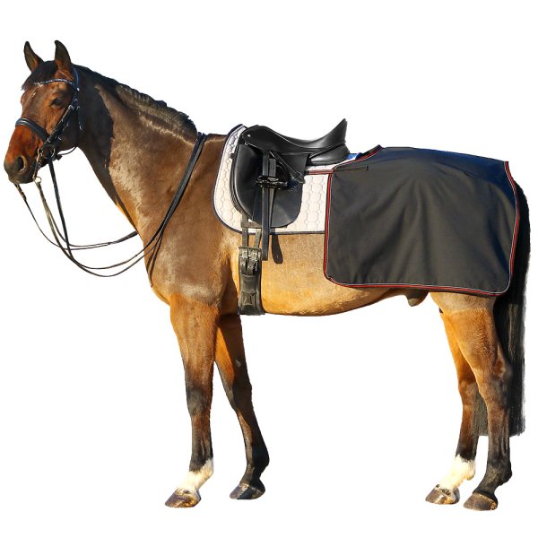 Euroriding Softshell Nierendecke schwarz