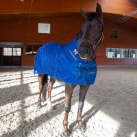 Accuhorsemat Cooler Mesh-Mix mit Akupressur Matten blau