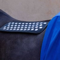 Leihgeb&uuml;hr f&uuml;r Accuhorsemat Original Nylon mit Akupressur Matten blau L (155cm)