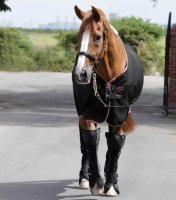 Premier Equine Transportgamaschen Airtechnology Knee Pro...