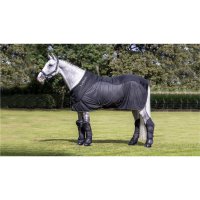 LeMieux Kudos Mesh Sports Cooler Black  Black