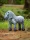 LeMieux Mini LeMieux Pony Sam White