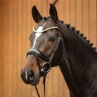 Passier FAVORITE powered by Ingrid Klimke...