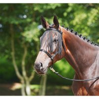 Busse Halfter WEIDE-FRANSEN