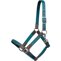 Euroriding Halfter Cholet, Nylon-Neopren-Leder Petrol