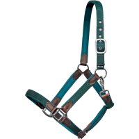 Euroriding Halfter Cholet, Nylon-Neopren-Leder Grün