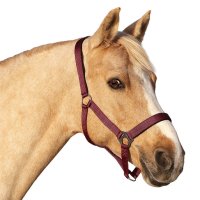 Euroriding Halfter Basic Bordeaux
