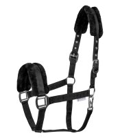 Waldhausen Halfter First schwarz