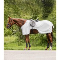 Waldhausen Fliegenausreitdecke Protect silbergrau/grau
