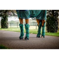 Horseware Signature Travel Boots Transportgamaschen...