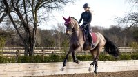 LeMieux Soft Shell Anti Slip Dressage Square Burgundy