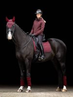 LeMieux Crystal Fly Hood Burgundy