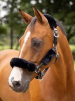 LeMieux Simuwool Headcollar Set Black