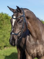 LeMieux Arika Drop Bridle Black/Silver