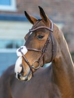 LeMieux Arika Grackle Bridle Havana/Silver