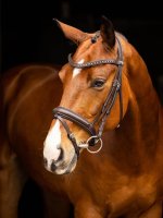 LeMieux Arika Dressage Bridle Brown/Silver
