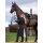 LeMieux Amelie Waterproof Lightweight Riding Coat Black