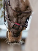 LeMieux Noseband Pad Brown 05845001