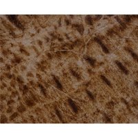 OS Nasenriemen Veredelung B13 Croco taupe