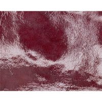 OS Nasenriemen Veredelung P 33 Lackleder bordeaux