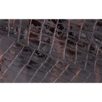 OS Nasenriemen Veredelung P65 Croco Lack glamour brown